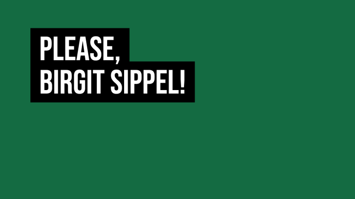 Birgit Sippel - Interim Derogation - EU e-Privacy