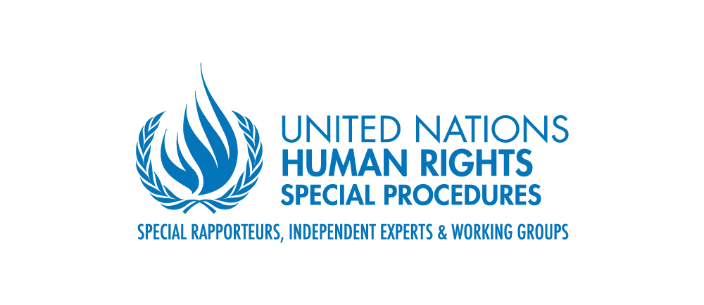 UN Human Rights Special Procedures